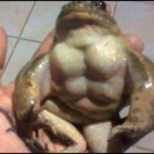 Meet your Posher, Summer